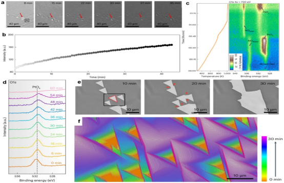 【技术分享】原位扫描电镜技术在催化与新能源电池研究中的应用
